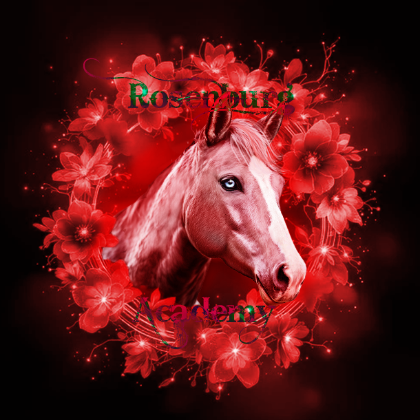 Rosenburg Dressage Academy