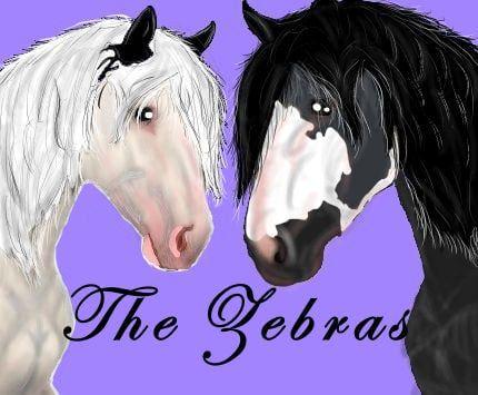 The Zabras