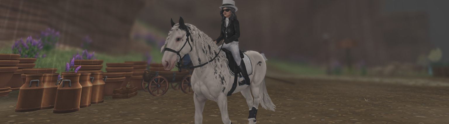 Kata Zebrasister